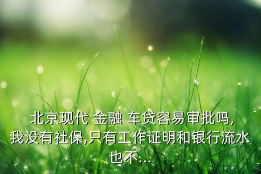  北京現(xiàn)代 金融 車(chē)貸容易審批嗎,我沒(méi)有社保,只有工作證明和銀行流水也不...