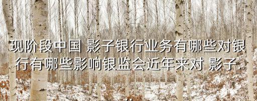 現(xiàn)階段中國 影子銀行業(yè)務(wù)有哪些對(duì)銀行有哪些影響銀監(jiān)會(huì)近年來對(duì) 影子...