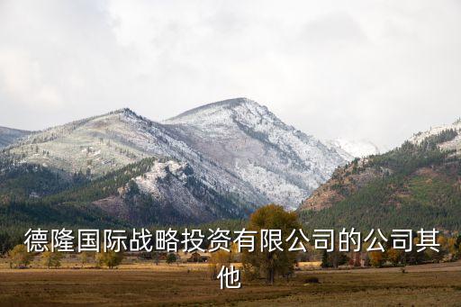  德隆國際戰(zhàn)略投資有限公司的公司其他