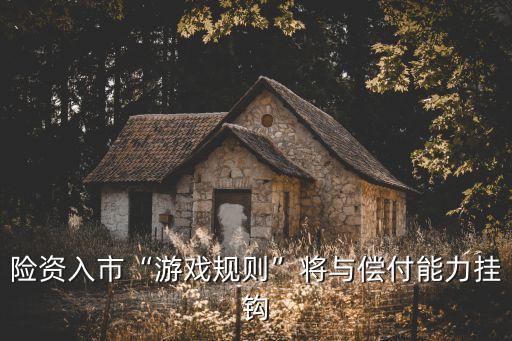 險(xiǎn)資入市“游戲規(guī)則”將與償付能力掛鉤