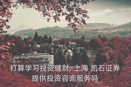 打算學習投資理財, 上海 凱石證券提供投資咨詢服務嗎