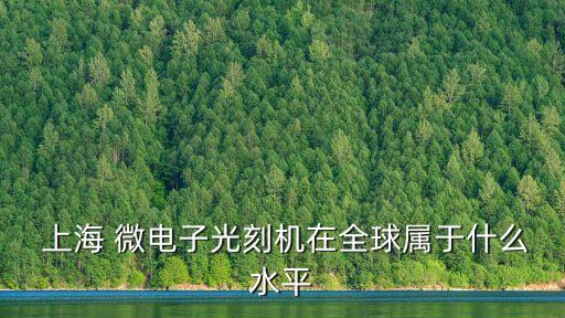  上海 微電子光刻機在全球屬于什么水平
