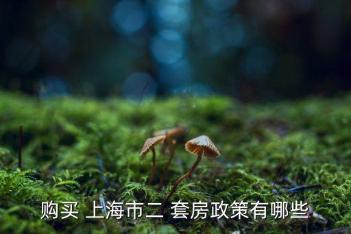 規(guī)避上海第二套房,外地人怎么在上海買(mǎi)第二套房