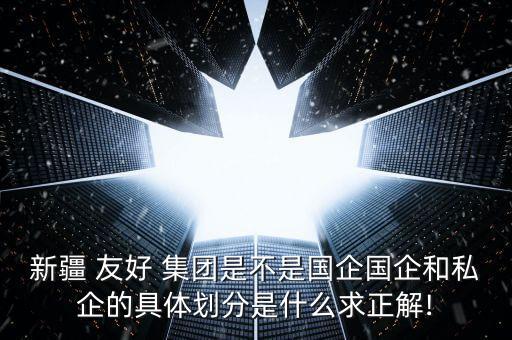 新疆 友好 集團是不是國企國企和私企的具體劃分是什么求正解!