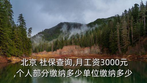 北京社保查個人所得稅,北京查社保繳費記錄怎么查