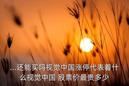 ...還能買(mǎi)嗎視覺(jué)中國(guó)漲停代表著什么視覺(jué)中國(guó) 股票價(jià)最貴多少