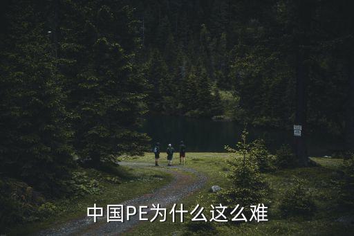 中國(guó)PE為什么這么難