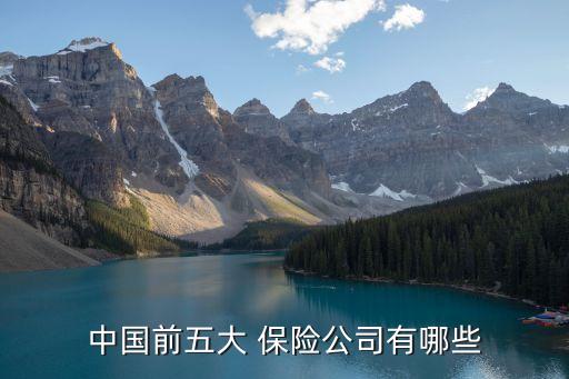 保險公司排行,2023中國保險公司排行