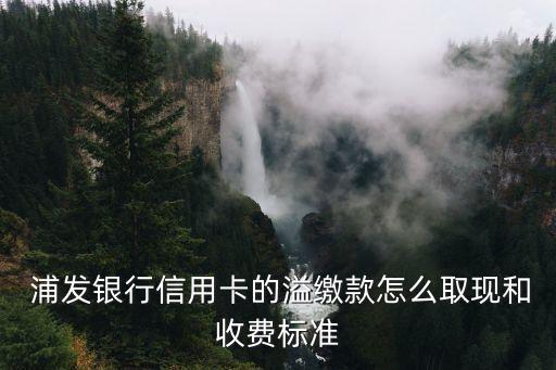  浦發(fā)銀行信用卡的溢繳款怎么取現(xiàn)和收費標(biāo)準(zhǔn)
