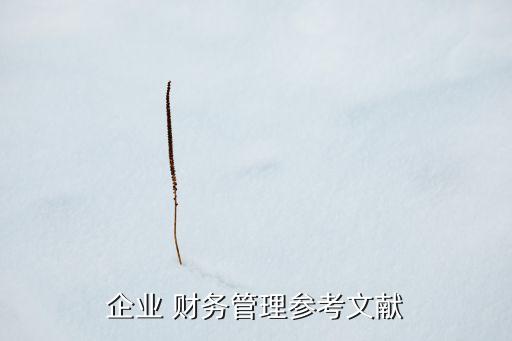 企業(yè) 財(cái)務(wù)管理參考文獻(xiàn)