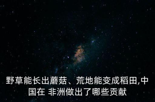 野草能長(zhǎng)出蘑菇、荒地能變成稻田,中國(guó)在 非洲做出了哪些貢獻(xiàn)