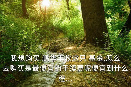 我想購買 鵬華豐收這只 基金,怎么去購買是最便宜的手續(xù)費呢便宜到什么程...