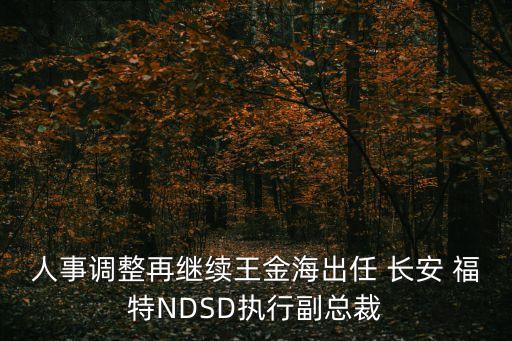 人事調(diào)整再繼續(xù)王金海出任 長(zhǎng)安 福特NDSD執(zhí)行副總裁