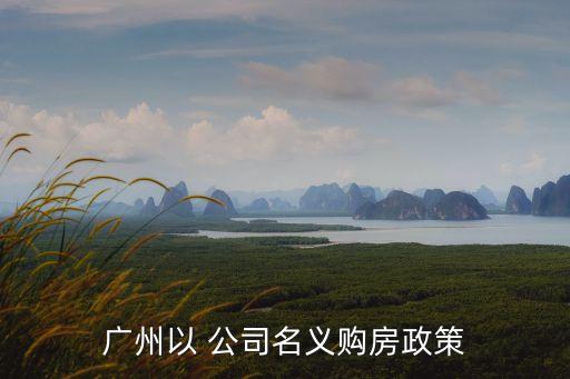 廣州以 公司名義購房政策