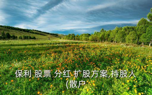 保利 股票 分紅 擴股方案,持股人(散戶
