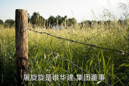 上海國盛集團張立平,內蒙古環(huán)投集團張立平