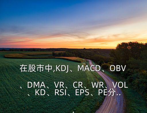 在股市中,KDJ、MACD、OBV、DMA、VR、CR、WR、VOL、KD、RSI、EPS、PE分...