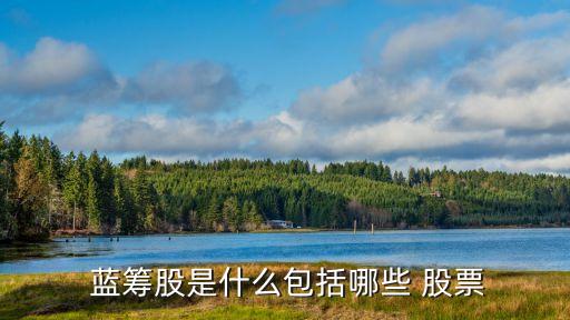  藍(lán)籌股是什么包括哪些 股票