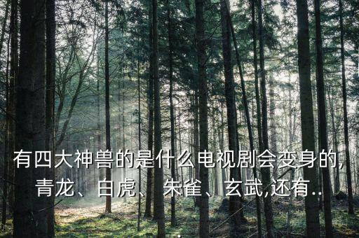 有四大神獸的是什么電視劇會變身的,青龍、白虎、 朱雀、玄武,還有...