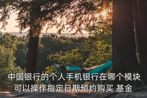 中國(guó)銀行買基金