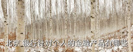 北京 銀行針對個人的金融產品有哪些