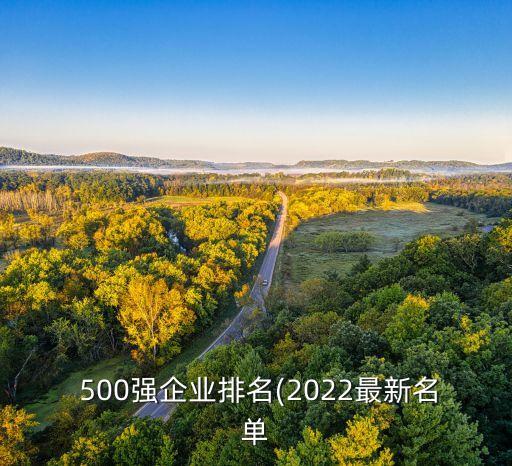  500強(qiáng)企業(yè)排名(2022最新名單