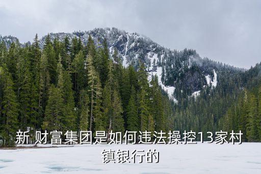 新 財富集團(tuán)是如何違法操控13家村鎮(zhèn)銀行的
