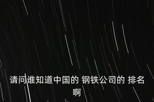 請問誰知道中國的 鋼鐵公司的 排名啊