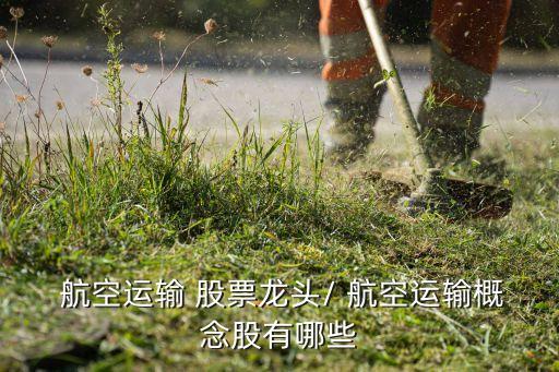  航空運(yùn)輸 股票龍頭/ 航空運(yùn)輸概念股有哪些