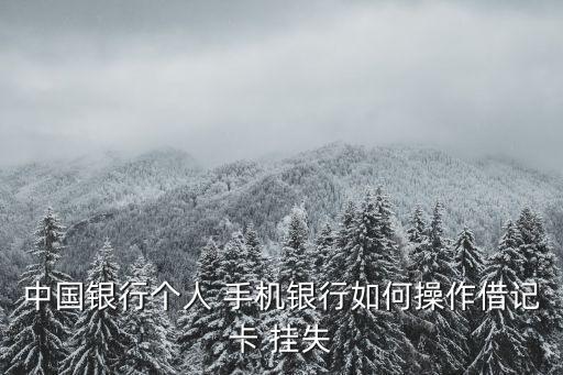 中國銀行個人 手機銀行如何操作借記卡 掛失