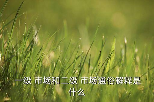 股票一級市場靠什么,股票發(fā)行市場又稱為什么市場