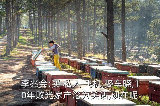 中國富豪的私人飛機(jī)