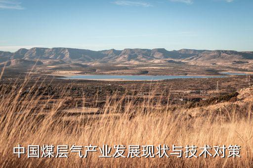中國煤層氣產(chǎn)業(yè)發(fā)展現(xiàn)狀與技術(shù)對策