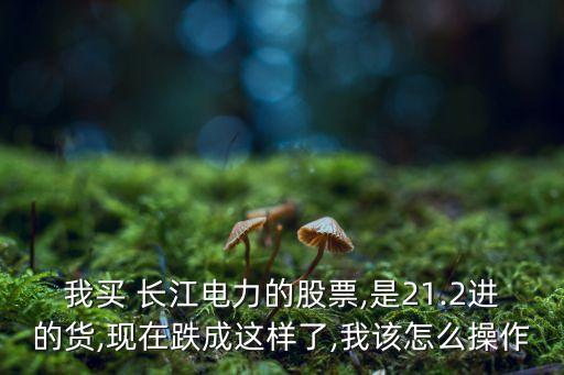 香港長(zhǎng)江基金,長(zhǎng)江基金股份有限公司