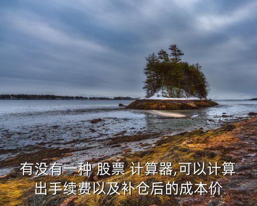 股票損益計算器,處置股票的處置損益
