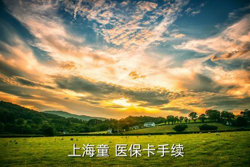  上海童 醫(yī)保卡手續(xù)
