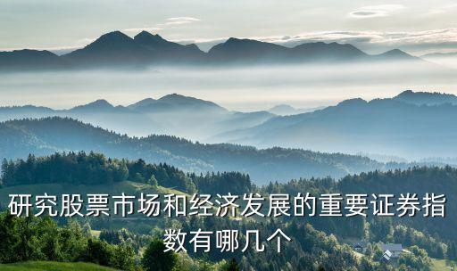 研究股票市場(chǎng)和經(jīng)濟(jì)發(fā)展的重要證券指數(shù)有哪幾個(gè)