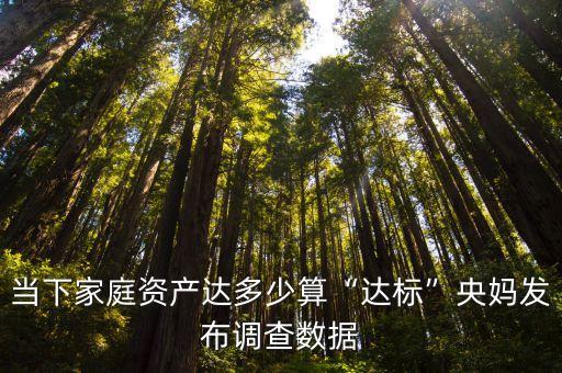 中國財富分布調(diào)查,中國居民財富分布