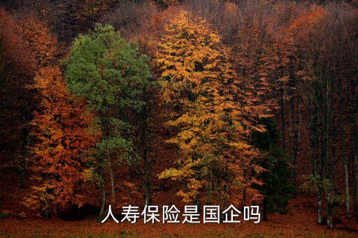  人壽保險是國企嗎