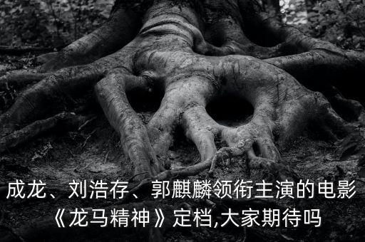 成龍、劉浩存、郭麒麟領(lǐng)銜主演的電影《龍馬精神》定檔,大家期待嗎