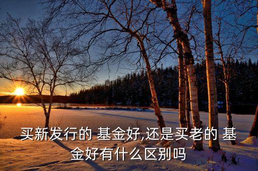 買(mǎi)新發(fā)行的 基金好,還是買(mǎi)老的 基金好有什么區(qū)別嗎