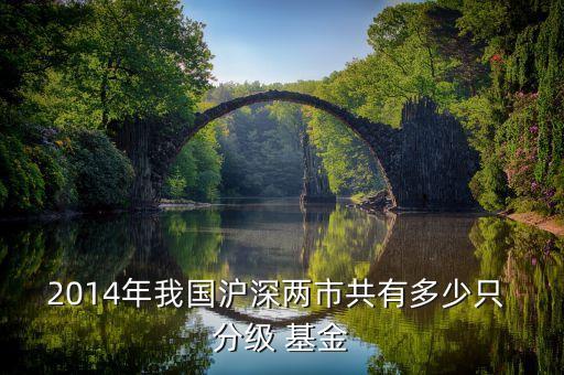 2014年我國(guó)滬深兩市共有多少只 分級(jí) 基金