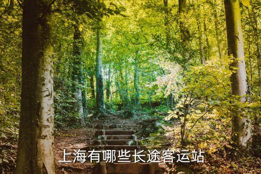  上海有哪些長途客運站