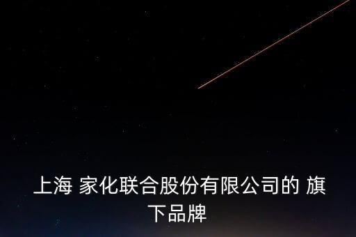  上海 家化聯(lián)合股份有限公司的 旗下品牌