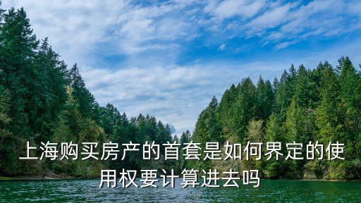  上海購買房產(chǎn)的首套是如何界定的使用權(quán)要計算進(jìn)去嗎