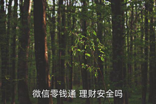 微信零錢(qián)通 理財(cái)安全嗎