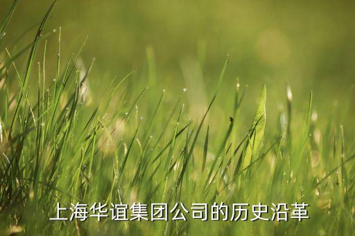  上海華誼集團(tuán)公司的歷史沿革