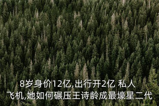 8歲身價(jià)12億,出行開(kāi)2億 私人 飛機(jī),她如何碾壓王詩(shī)齡成最壕星二代