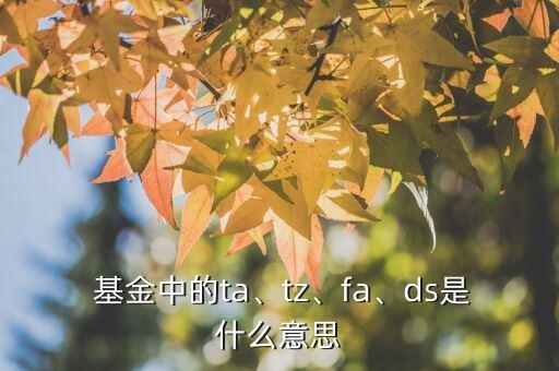  基金中的ta、tz、fa、ds是什么意思