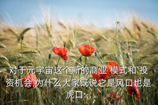對于元宇宙這個新的商業(yè) 模式和 投資機會,為什么大家既說它是風口也是虎口...